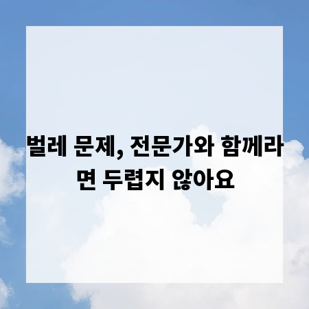 벌레 문제, 전문가와 함께라면 두렵지 않아요