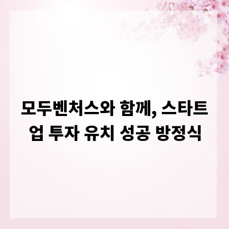 모두벤처스와 함께, 스타트업 투자 유치 성공 방정식