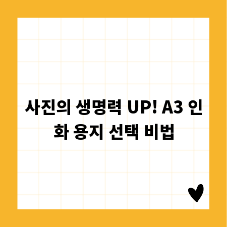 사진의 생명력 UP! A3 인화 용지 선택 비법