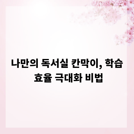 나만의 독서실 칸막이, 학습 효율 극대화 비법