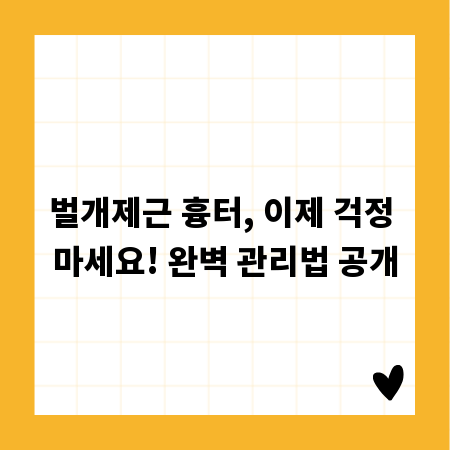 벌개제근 흉터, 이제 걱정 마세요! 완벽 관리법 공개