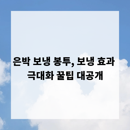 은박 보냉 봉투, 보냉 효과 극대화 꿀팁 대공개