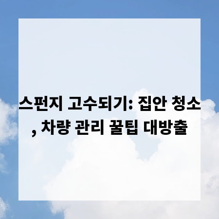 스펀지 고수되기: 집안 청소, 차량 관리 꿀팁 대방출