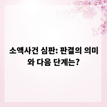 소액사건 심판: 판결의 의미와 다음 단계는?