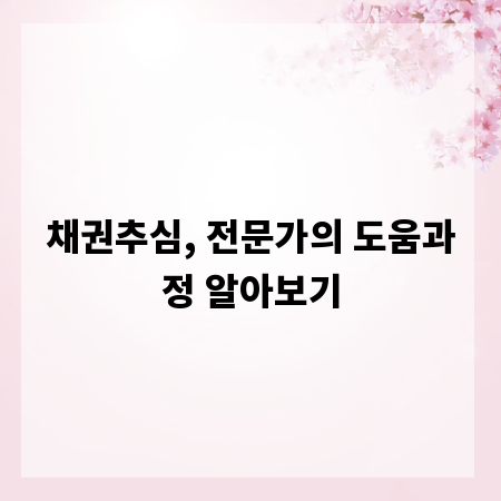 채권추심, 전문가의 도움과정 알아보기