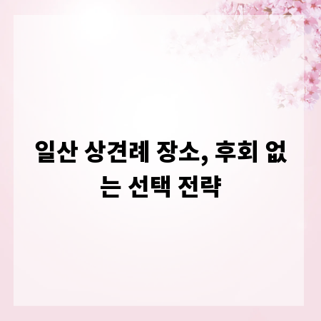 일산 상견례 장소, 후회 없는 선택 전략