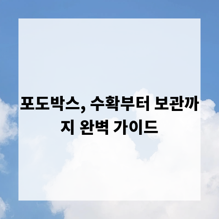 포도박스, 수확부터 보관까지 완벽 가이드