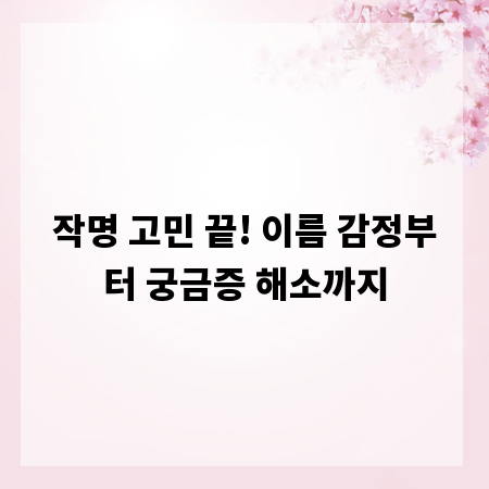 작명 고민 끝! 이름 감정부터 궁금증 해소까지