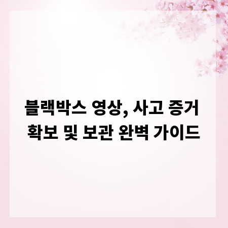 블랙박스 영상, 사고 증거 확보 및 보관 완벽 가이드