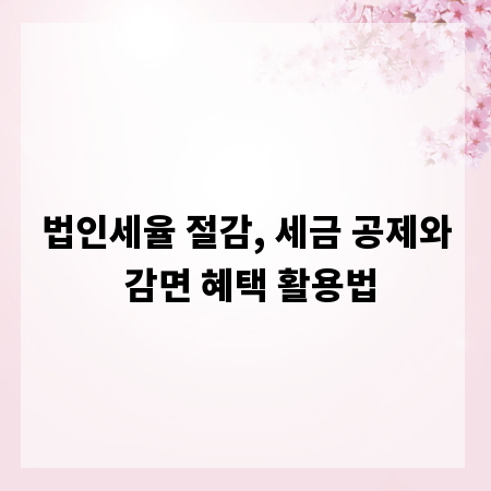법인세율 절감, 세금 공제와 감면 혜택 활용법