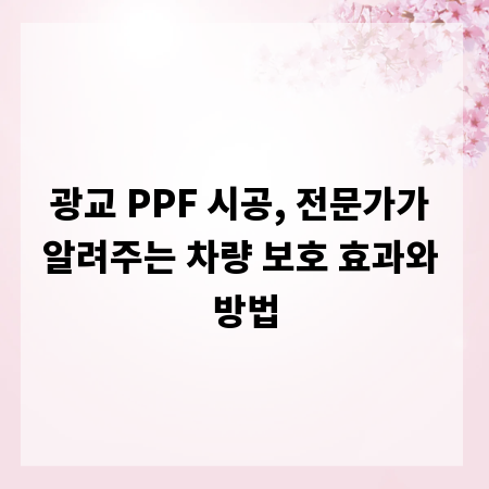 광교 PPF 시공, 전문가가 알려주는 차량 보호 효과와 방법