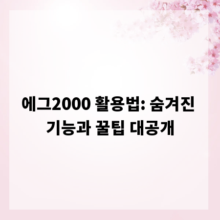 에그2000 활용법: 숨겨진 기능과 꿀팁 대공개