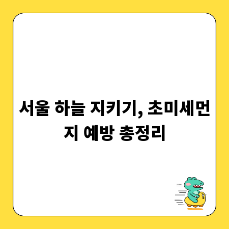서울 하늘 지키기, 초미세먼지 예방 총정리
