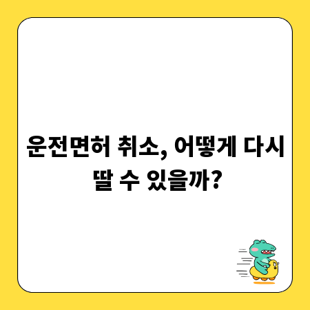 운전면허 취소, 어떻게 다시 딸 수 있을까?