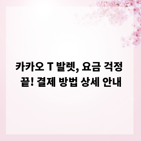 카카오 T 발렛, 요금 걱정 끝! 결제 방법 상세 안내