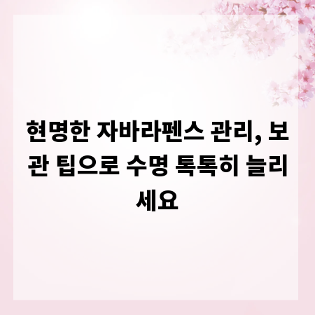 현명한 자바라펜스 관리, 보관 팁으로 수명 톡톡히 늘리세요