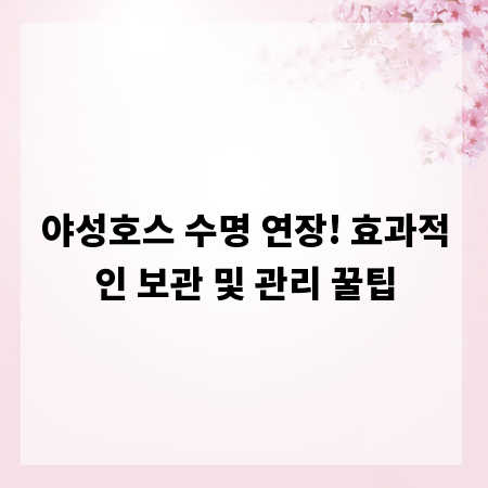 야성호스 수명 연장! 효과적인 보관 및 관리 꿀팁