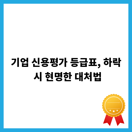 기업 신용평가 등급표, 하락 시 현명한 대처법