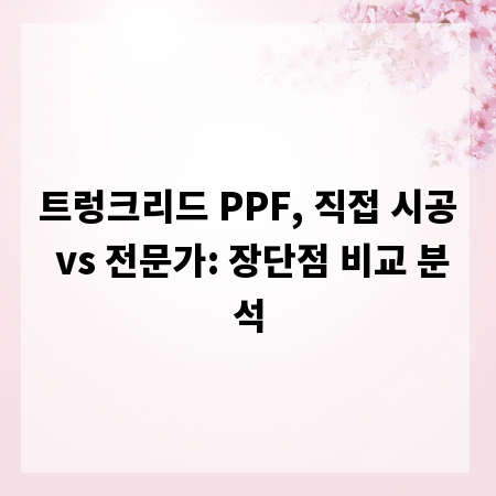 트렁크리드 PPF, 직접 시공 vs 전문가: 장단점 비교 분석