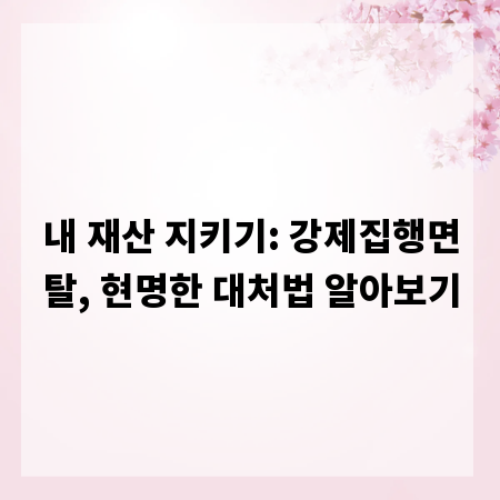 내 재산 지키기: 강제집행면탈, 현명한 대처법 알아보기