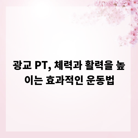 광교 PT, 체력과 활력을 높이는 효과적인 운동법