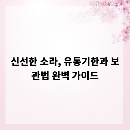 신선한 소라, 유통기한과 보관법 완벽 가이드