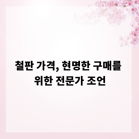 철판 가격, 현명한 구매를 위한 전문가 조언