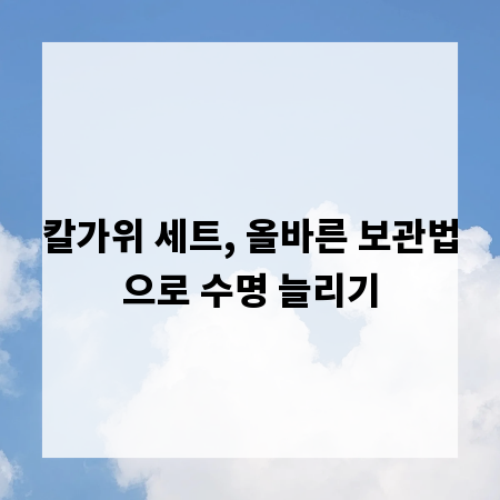 칼가위 세트, 올바른 보관법으로 수명 늘리기