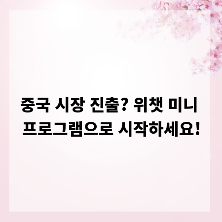 중국 시장 진출? 위챗 미니 프로그램으로 시작하세요!