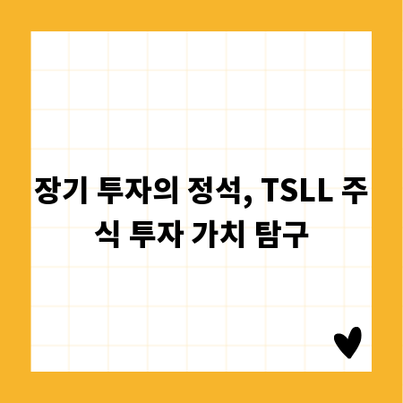 장기 투자의 정석, TSLL 주식 투자 가치 탐구