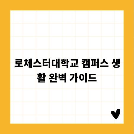 로체스터대학교 캠퍼스 생활 완벽 가이드