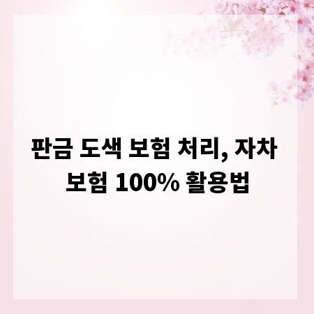 판금 도색 보험 처리, 자차 보험 100% 활용법