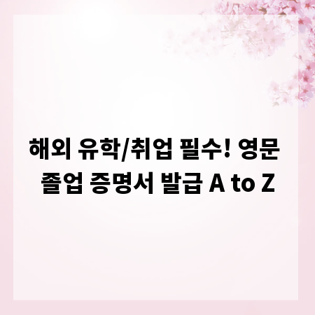 해외 유학/취업 필수! 영문 졸업 증명서 발급 A to Z