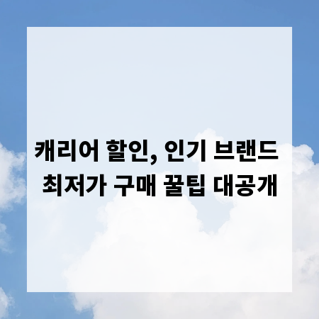캐리어 할인, 인기 브랜드 최저가 구매 꿀팁 대공개