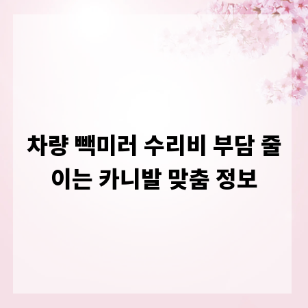 차량 빽미러 수리비 부담 줄이는 카니발 맞춤 정보