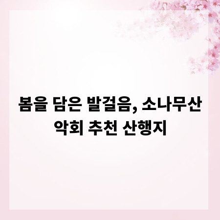 봄을 담은 발걸음, 소나무산악회 추천 산행지