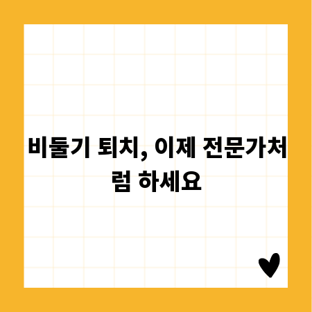 비둘기 퇴치, 이제 전문가처럼 하세요