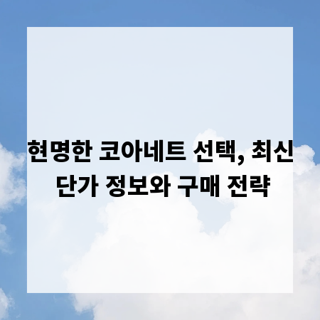 현명한 코아네트 선택, 최신 단가 정보와 구매 전략