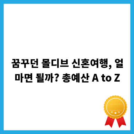 꿈꾸던 몰디브 신혼여행, 얼마면 될까? 총예산 A to Z