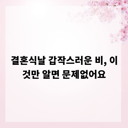 결혼식날 갑작스러운 비, 이것만 알면 문제없어요