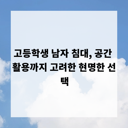 고등학생 남자 침대, 공간 활용까지 고려한 현명한 선택
