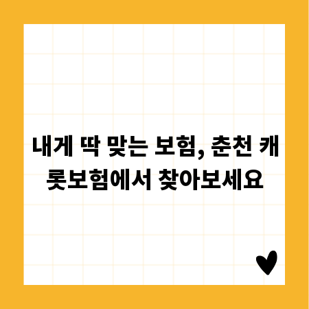 내게 딱 맞는 보험, 춘천 캐롯보험에서 찾아보세요