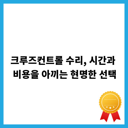 크루즈컨트롤 수리, 시간과 비용을 아끼는 현명한 선택
