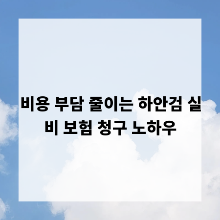 비용 부담 줄이는 하안검 실비 보험 청구 노하우