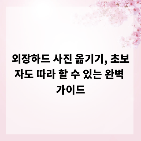 외장하드 사진 옮기기, 초보자도 따라 할 수 있는 완벽 가이드