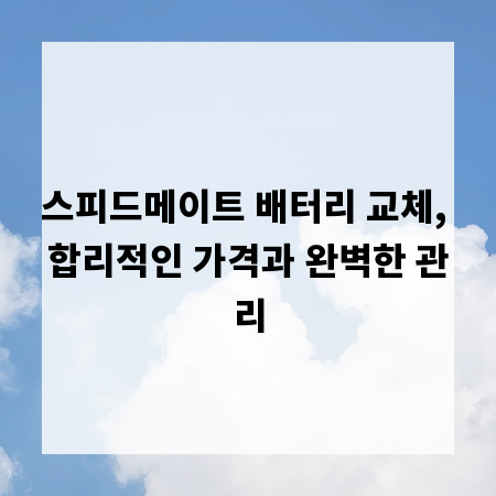 스피드메이트 배터리 교체, 합리적인 가격과 완벽한 관리