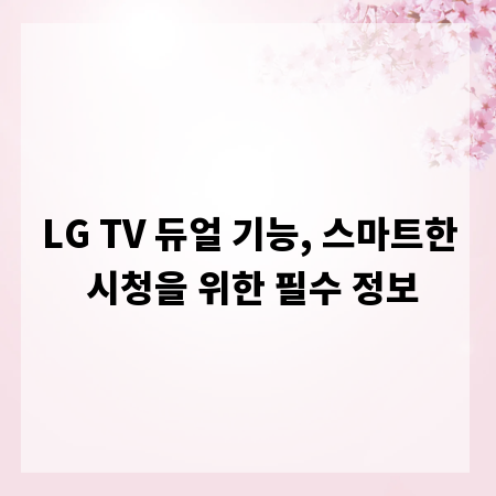 LG TV 듀얼 기능, 스마트한 시청을 위한 필수 정보