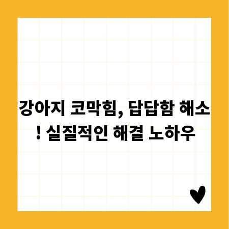 강아지 코막힘, 답답함 해소! 실질적인 해결 노하우