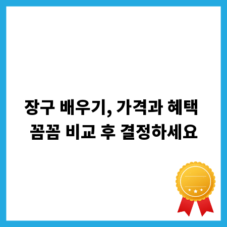 장구 배우기, 가격과 혜택 꼼꼼 비교 후 결정하세요