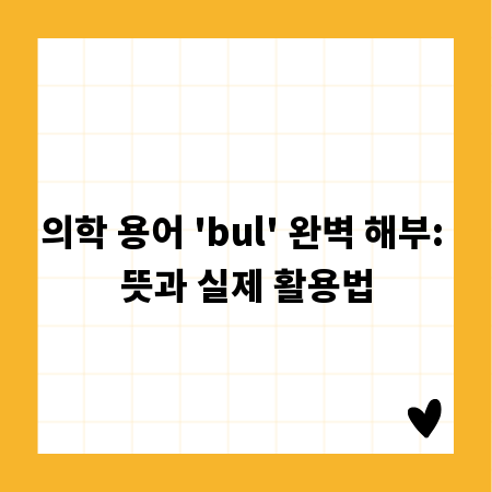 의학 용어 'bul' 완벽 해부: 뜻과 실제 활용법